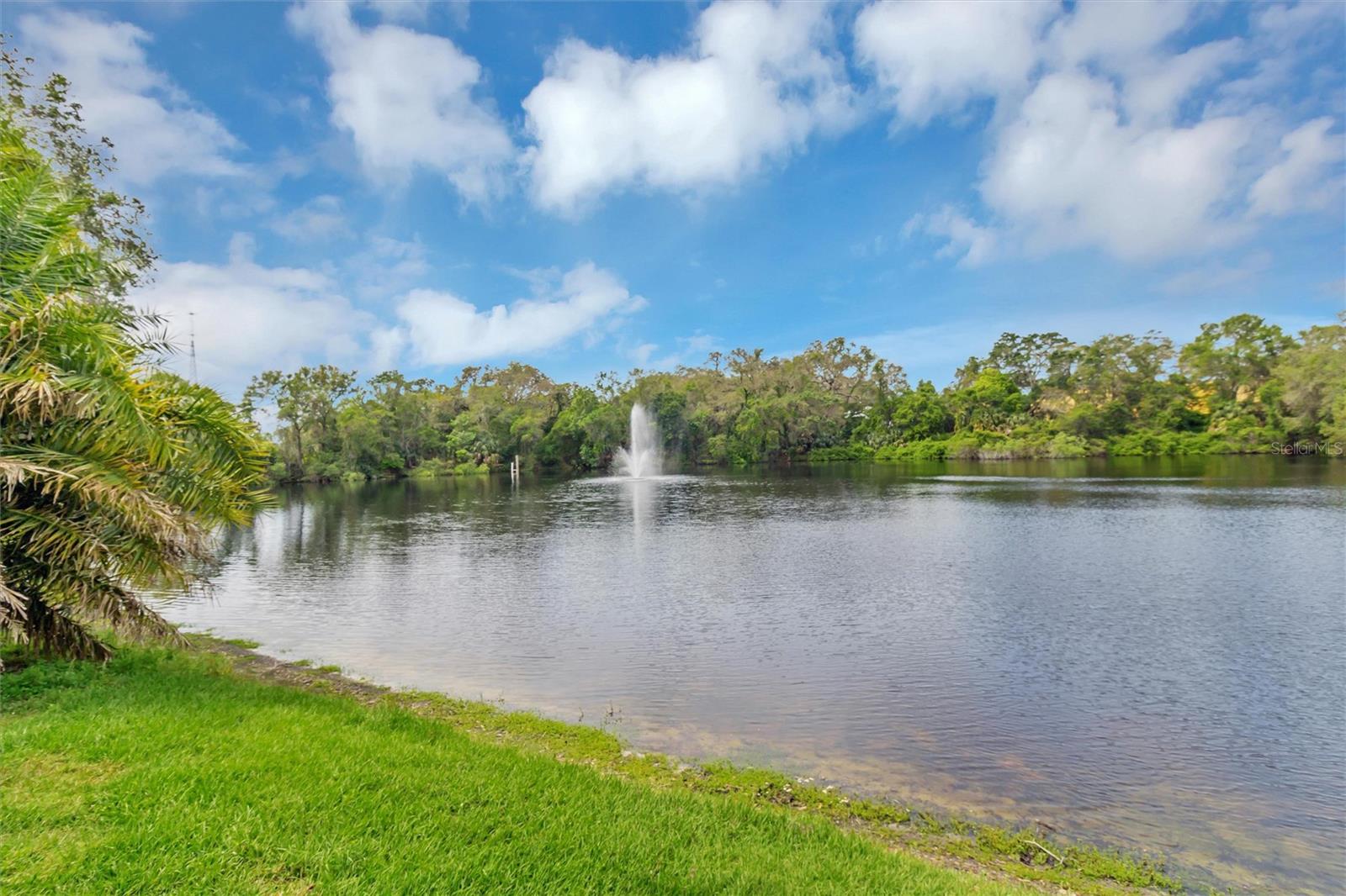 Pond for fishing