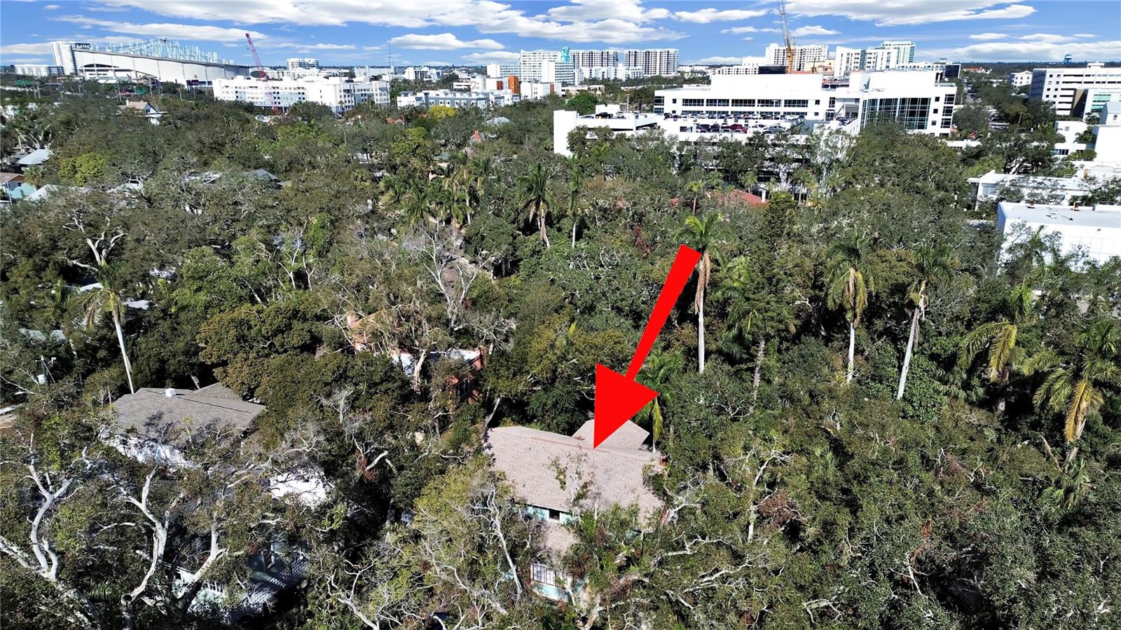 Wooded enclave of Roser Park near downtown St Pete.  Most don't know it is there.