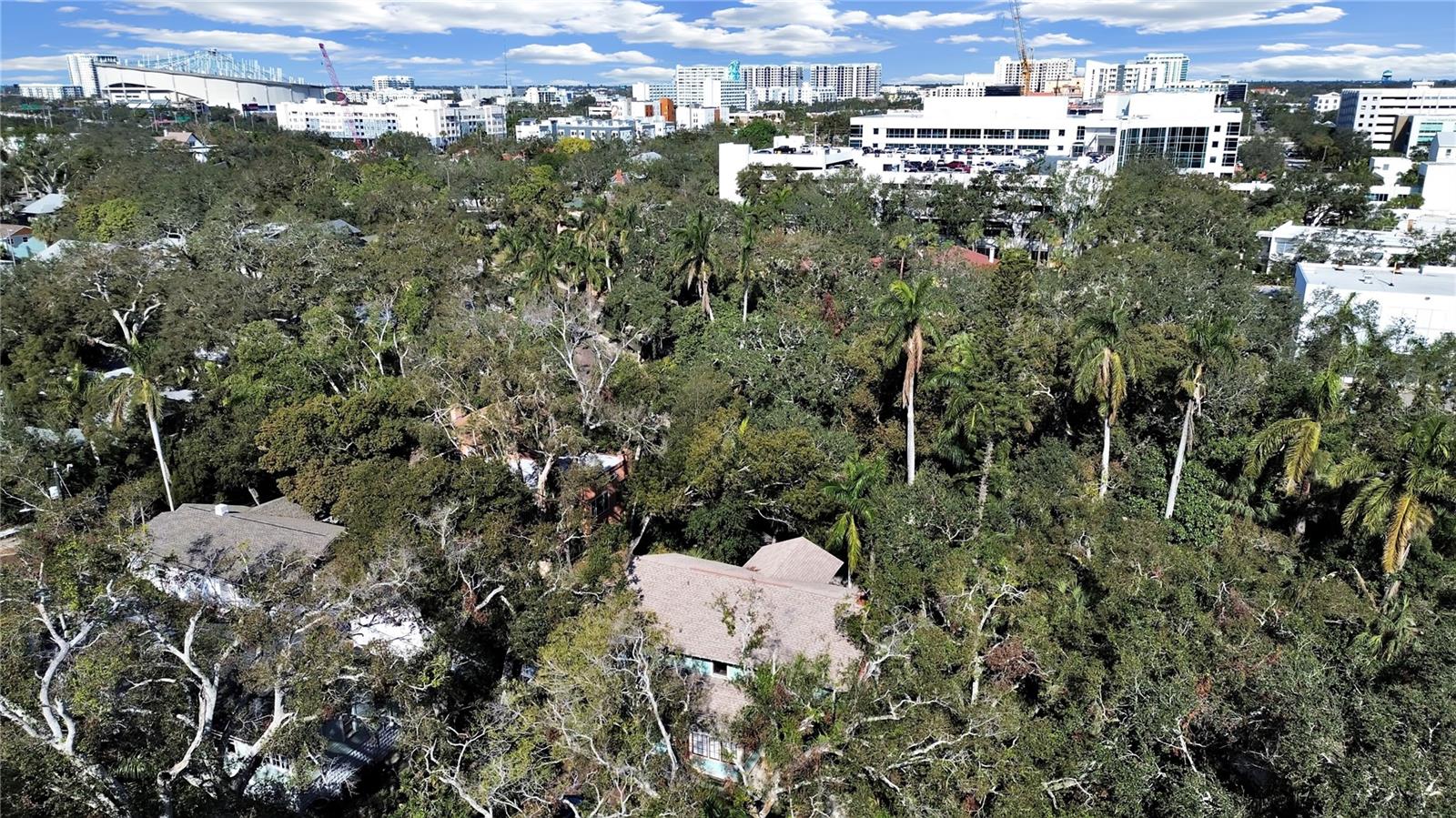 Bayfront and All Children's Hospitals in walking distance.