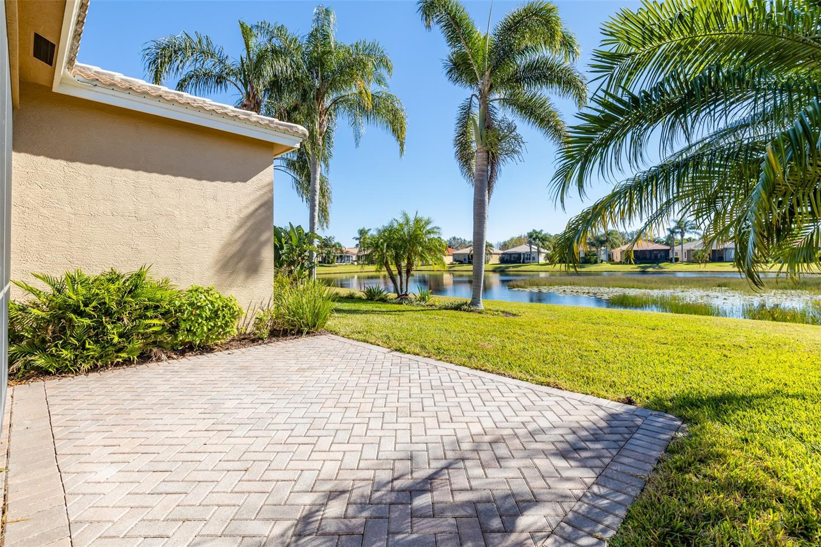 Rear patio