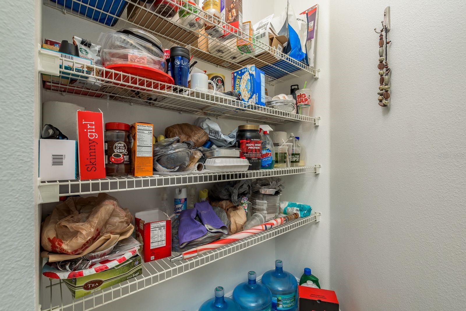 Large food pantry in kitchen!