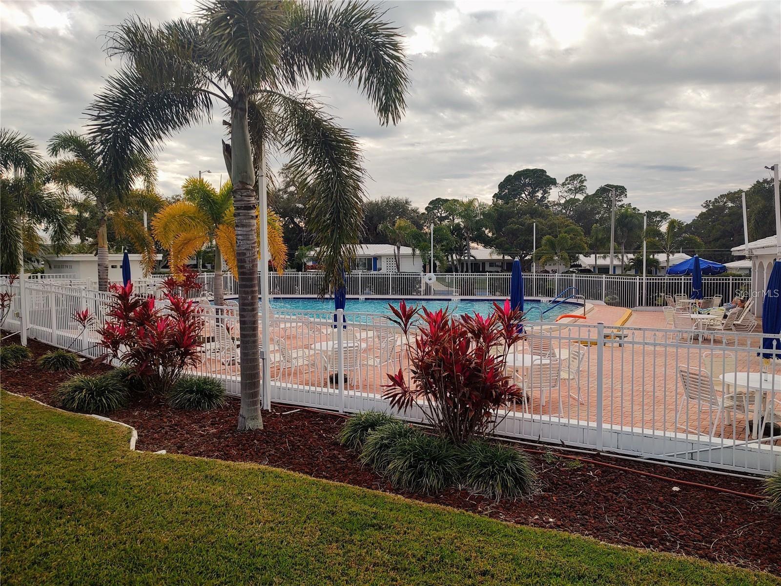 Tamarac Pool