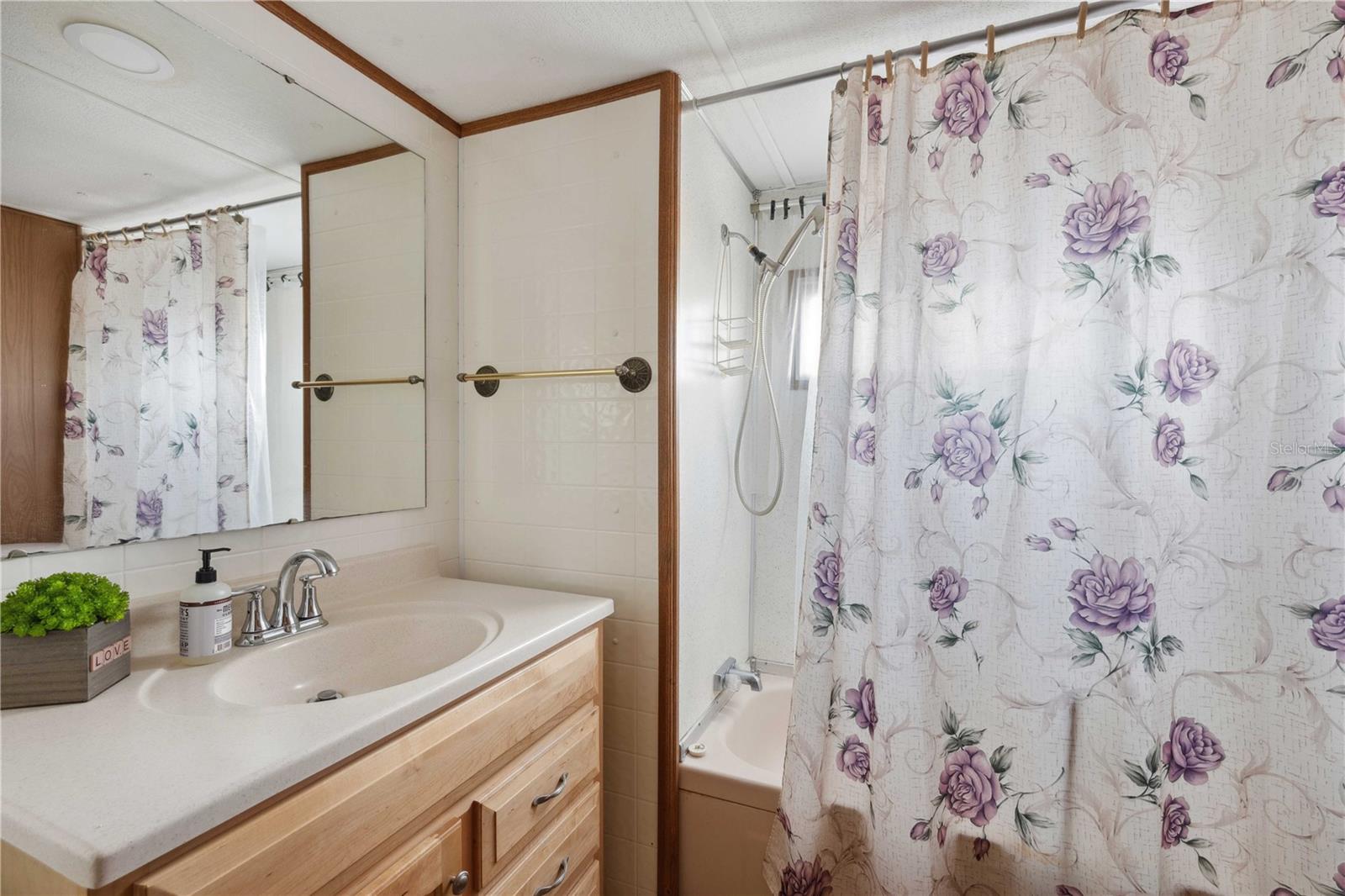 Main bath with updated vanity