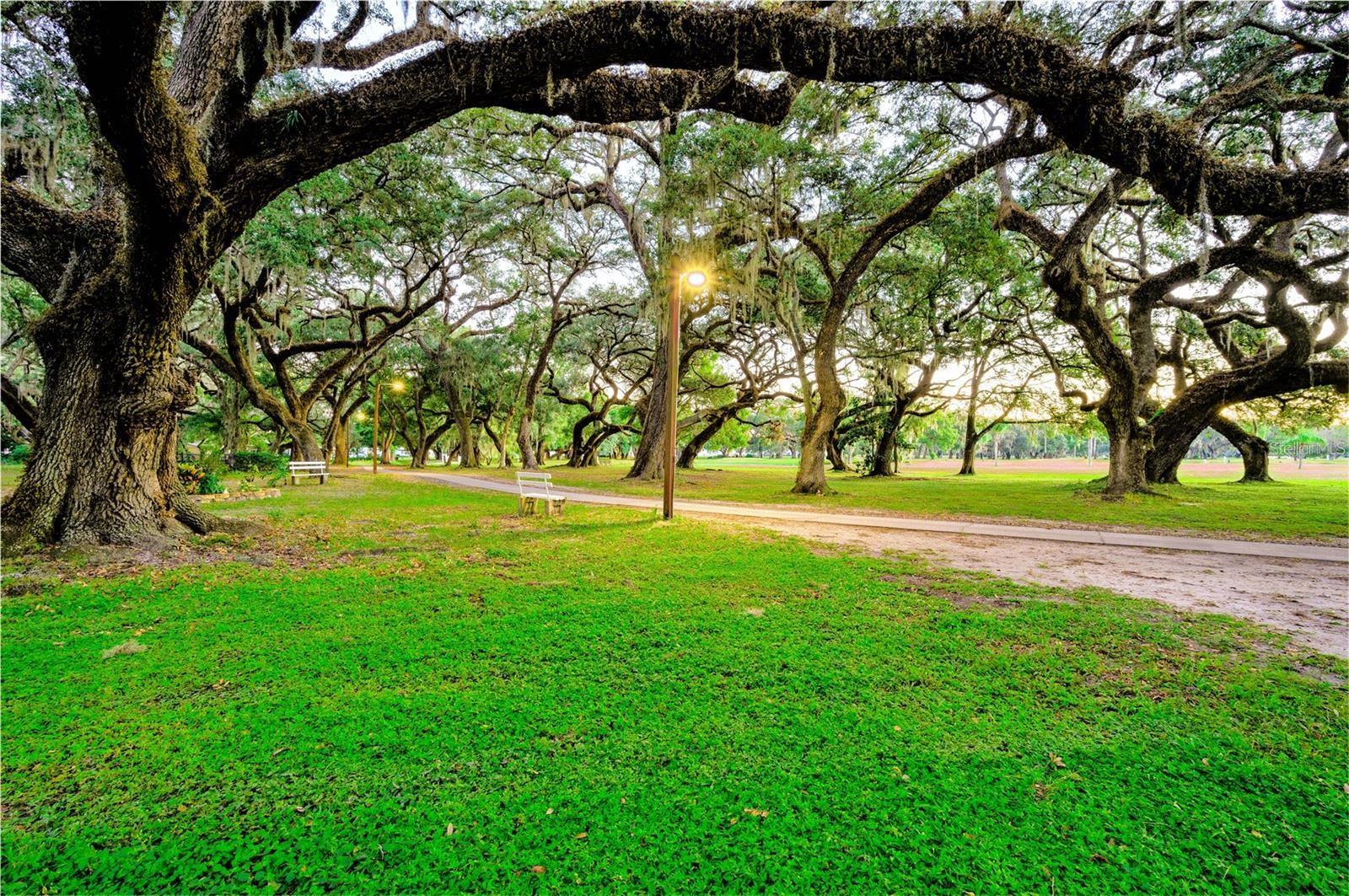 Take a walk thru the oaks on Lakewood