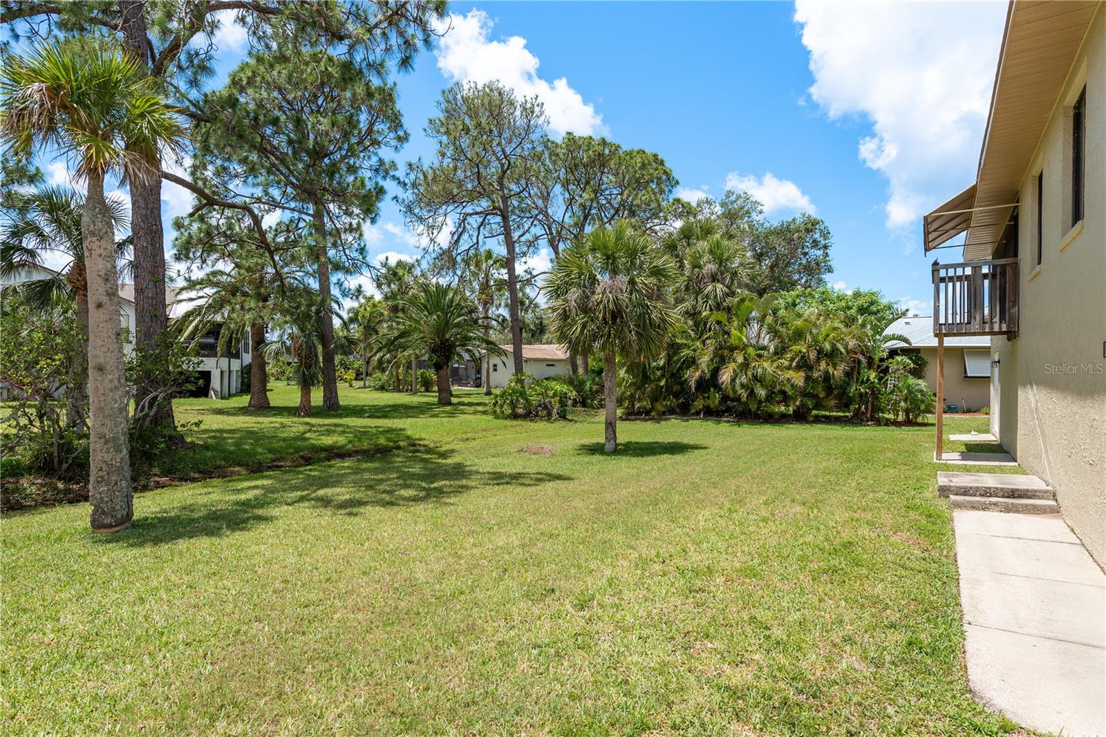 Spacious back yard