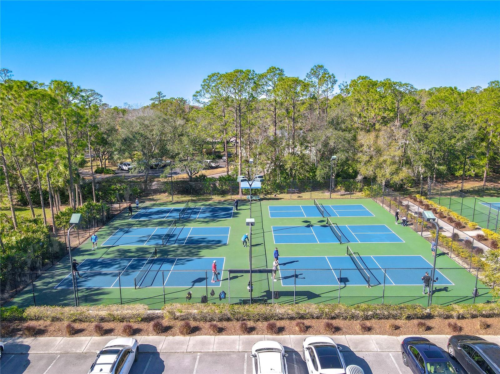 6 pickleball courts