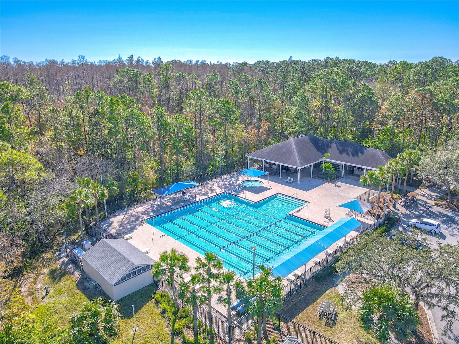 Westchase swim center