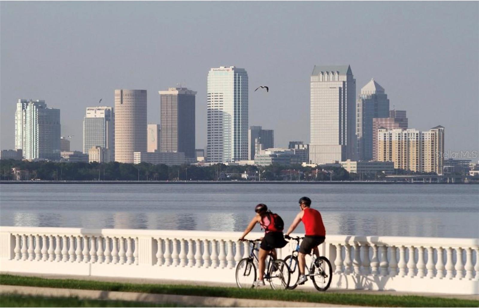 Steps From Bayshore Boulevard ~ Tampa's ~ Wonderful Linear Park