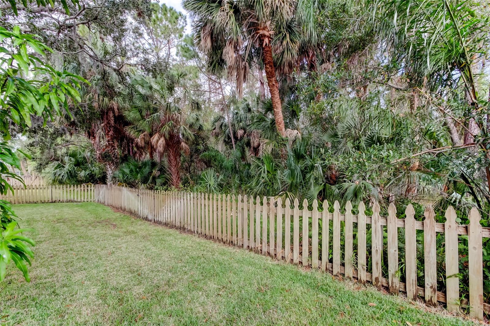 Part of the HUGE backyard backs up to a conservation area