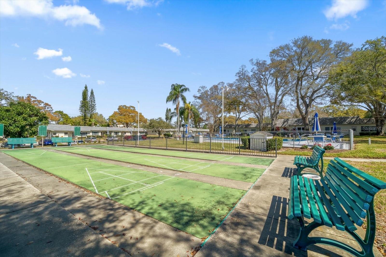 Shuffleboard Court