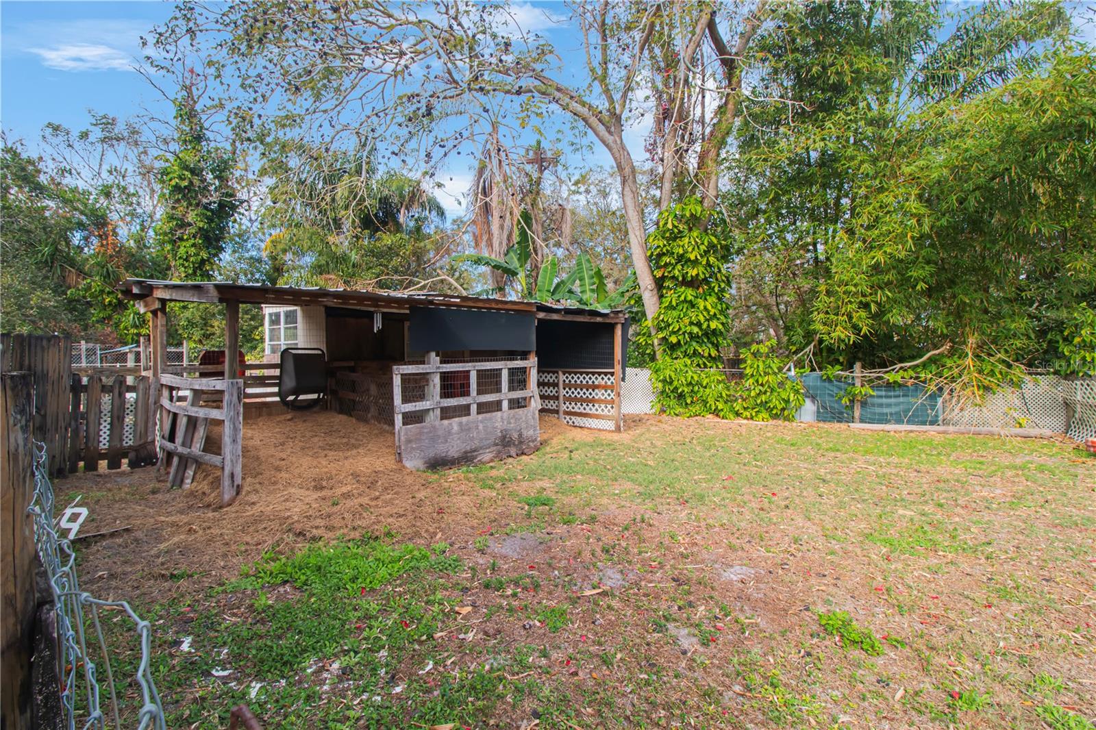 Covered Area Back Yard