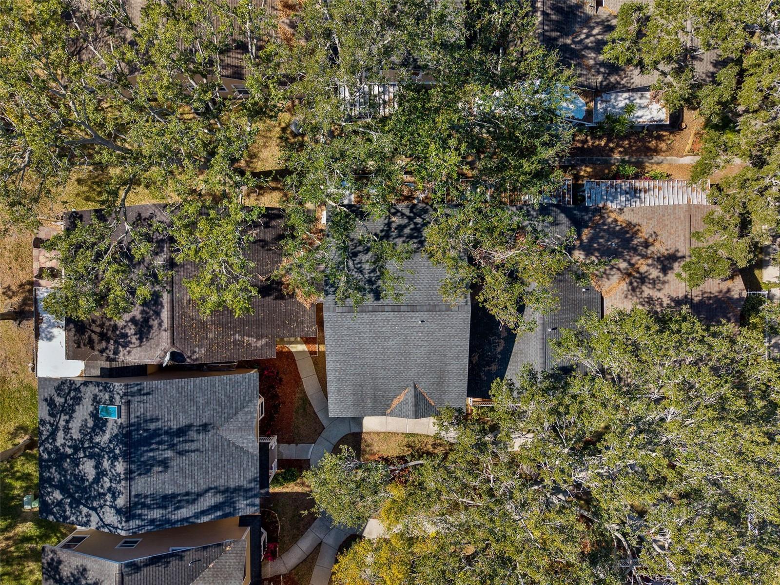 Aerial View of Pool, Bathhouse/Sauna & Clubhouse