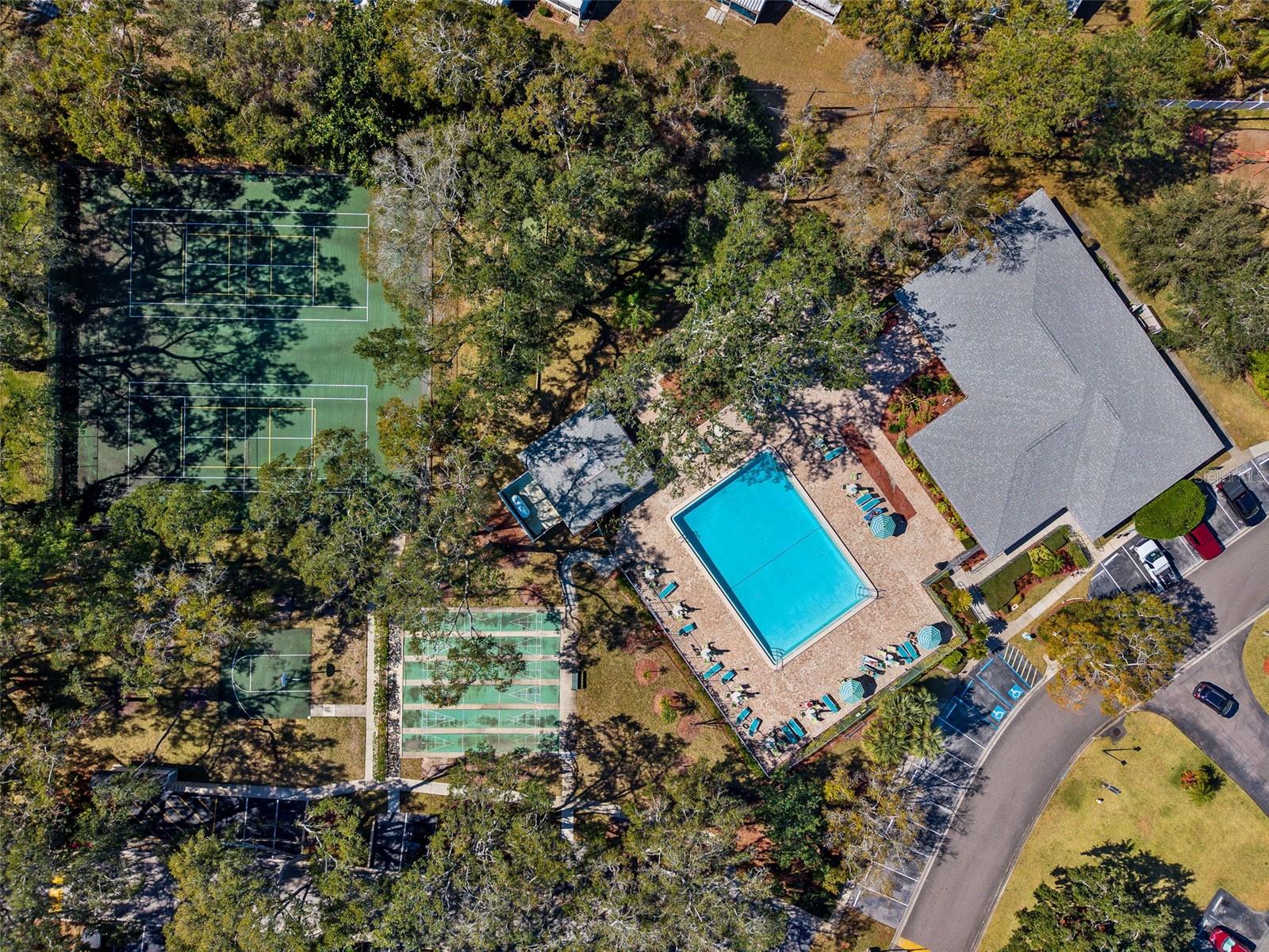 Aerial View of Amenities