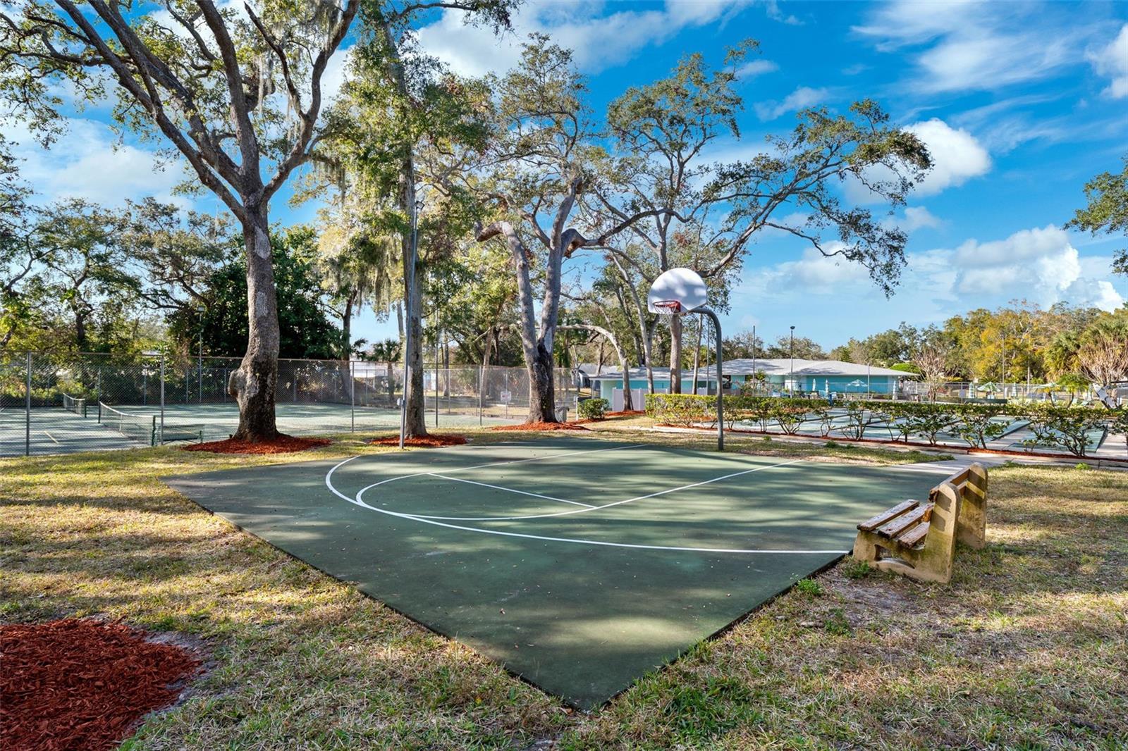 Basketball Court