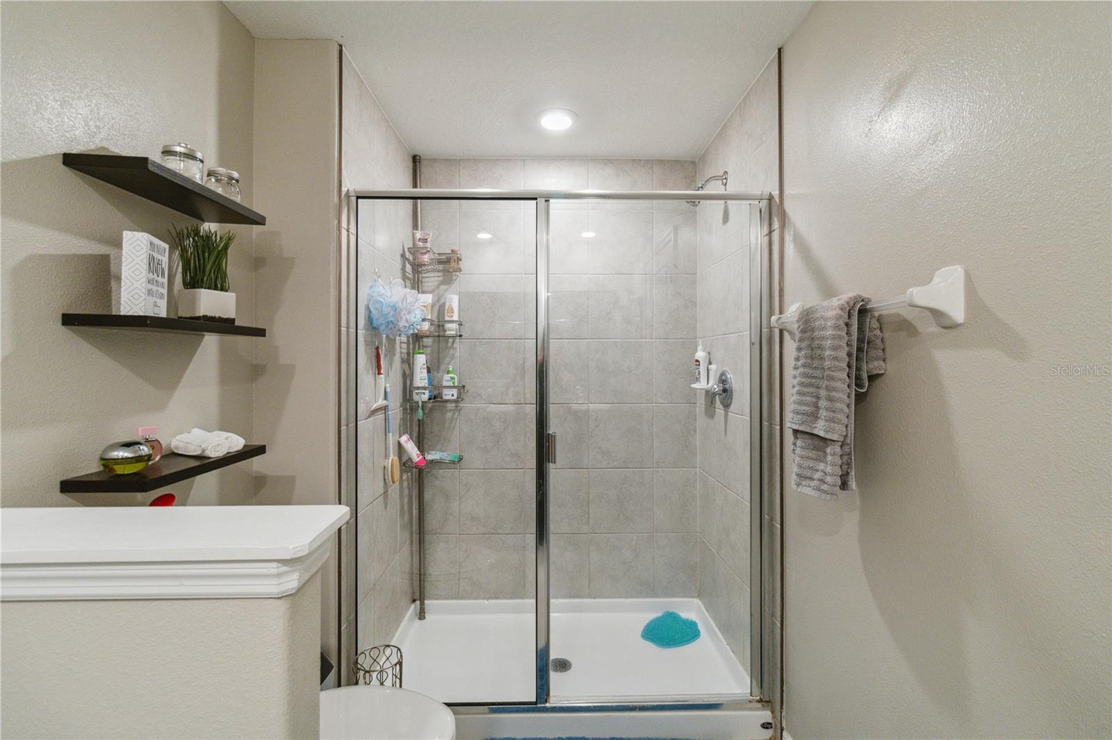 Main Suite walk-in shower