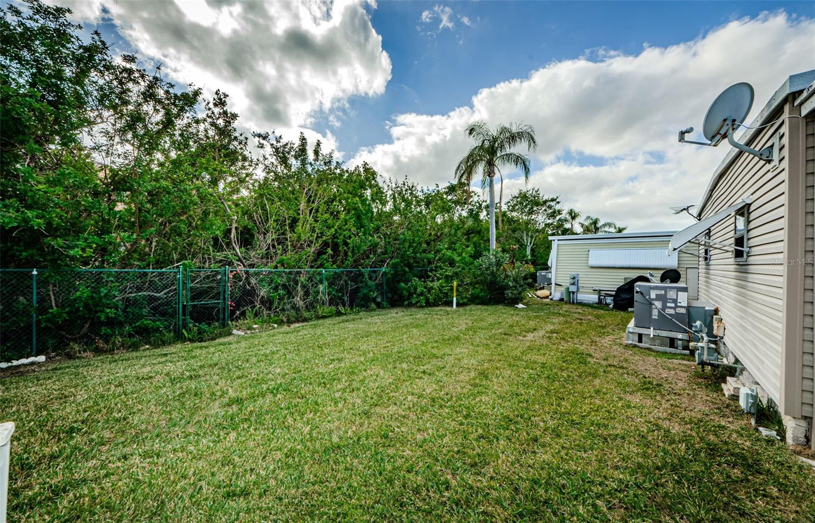 Back yard backs up to vegetation