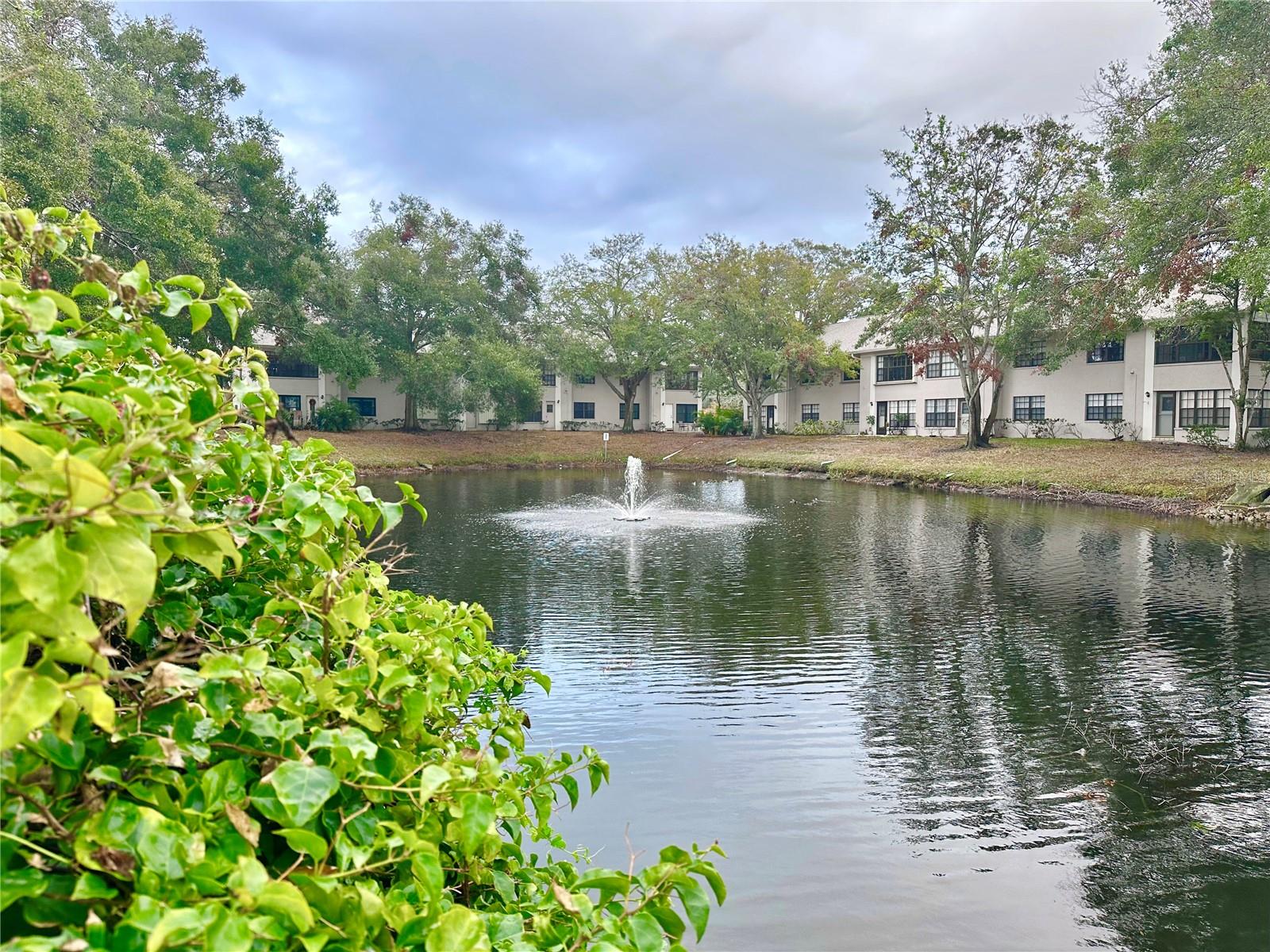 Second spring fed pond located across the street