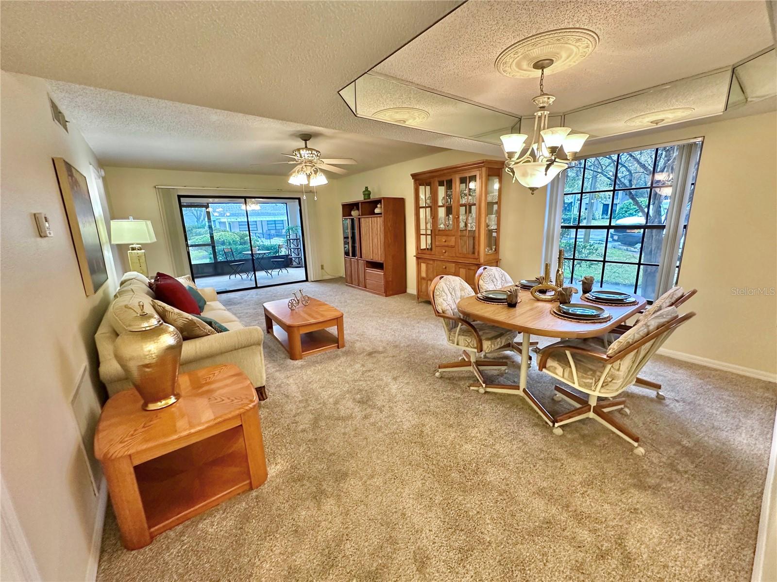 Living/Dining room combo