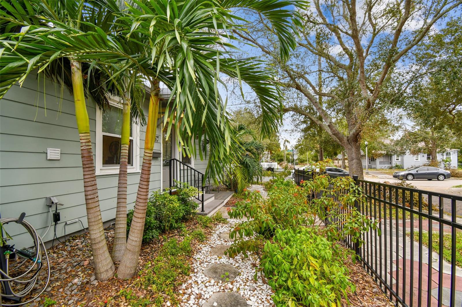 Native Florida friendly landscaping