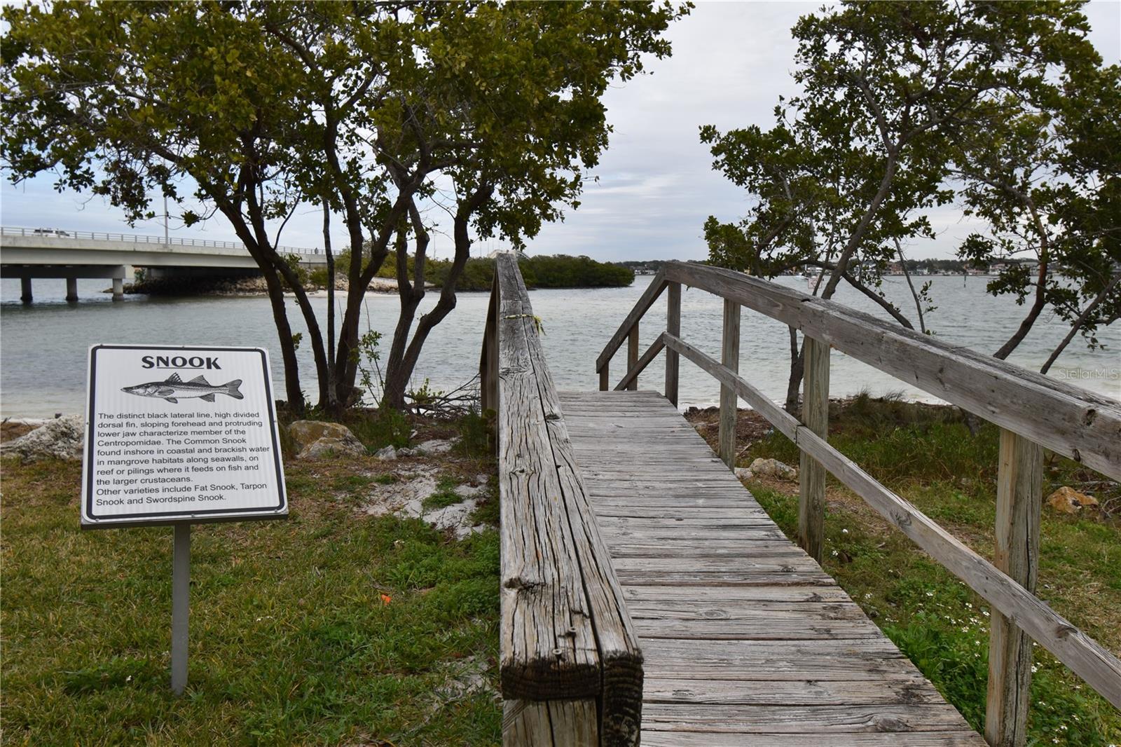 Water view access from Bayside Park