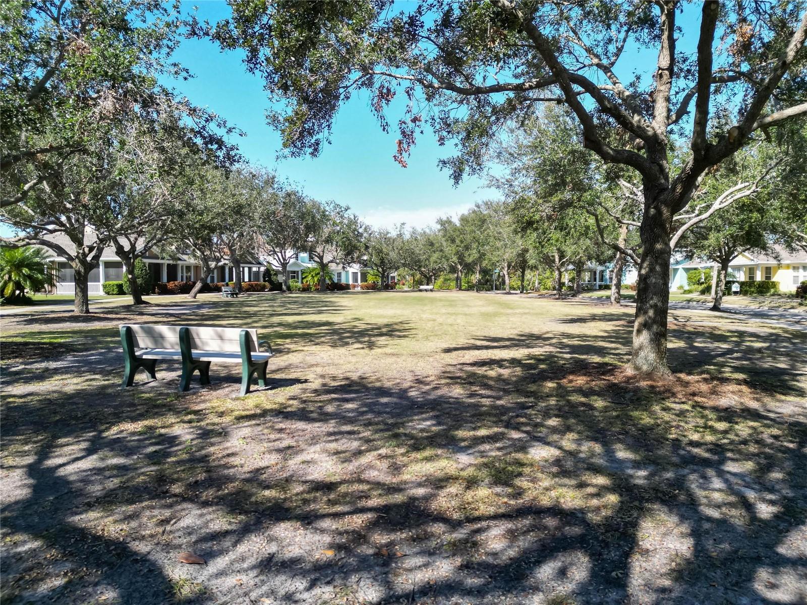 Seacrest Community Park Setting