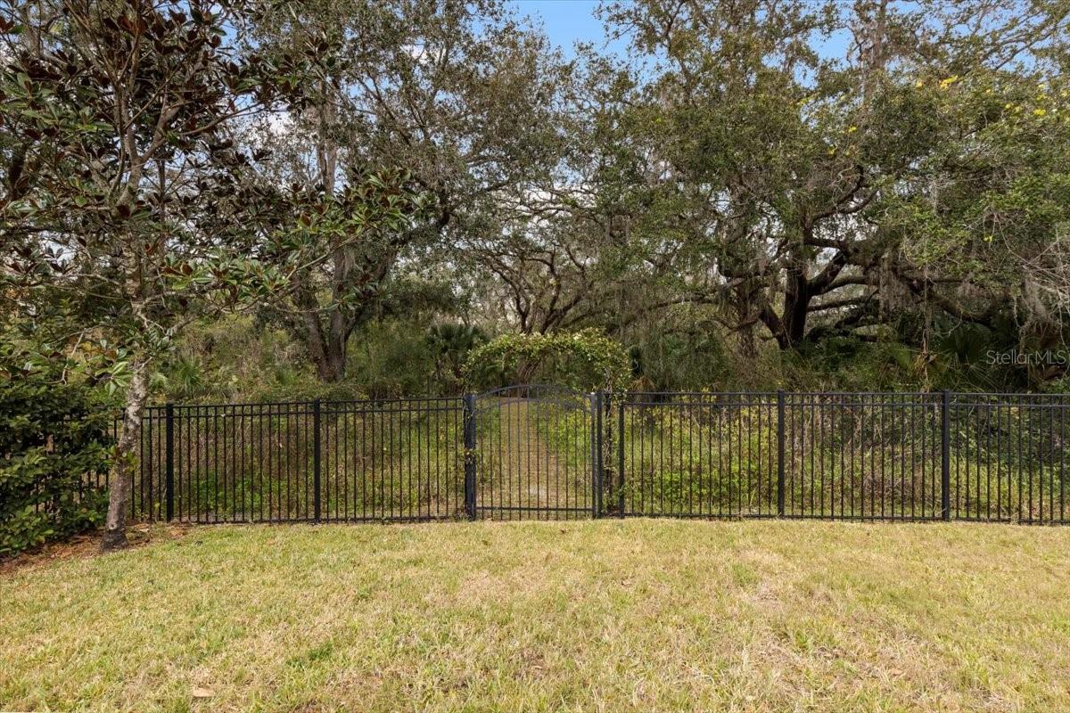 Fenced In Back Yard