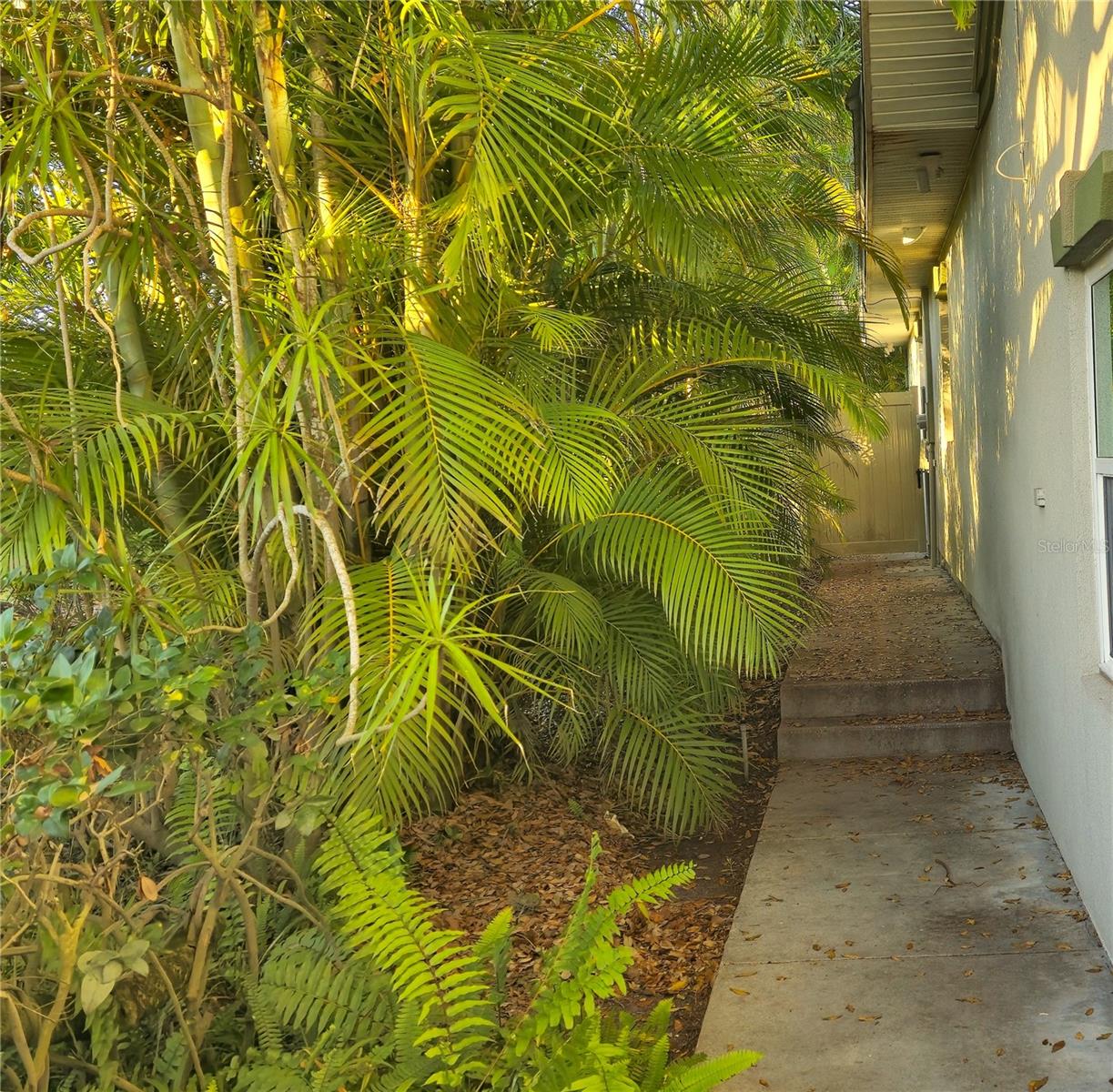 Rear Alley and Shed