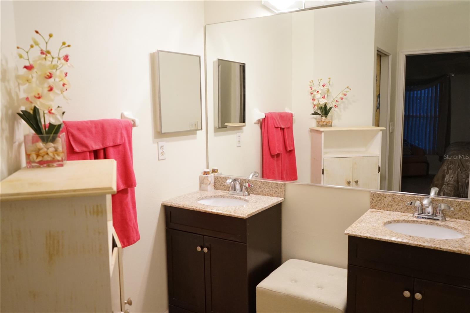 two sinks and storage cabinet