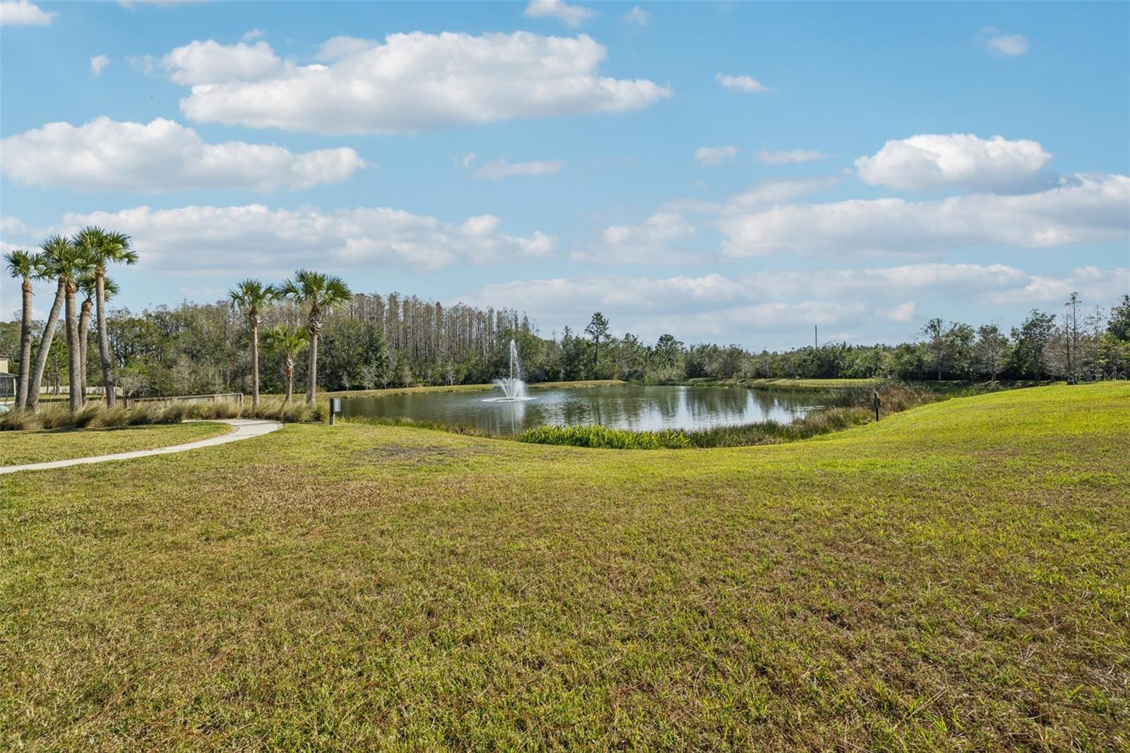 Pond View