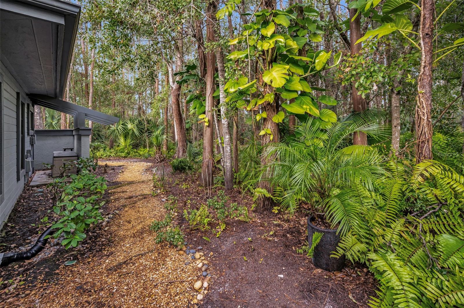 Side Yard on Preserve