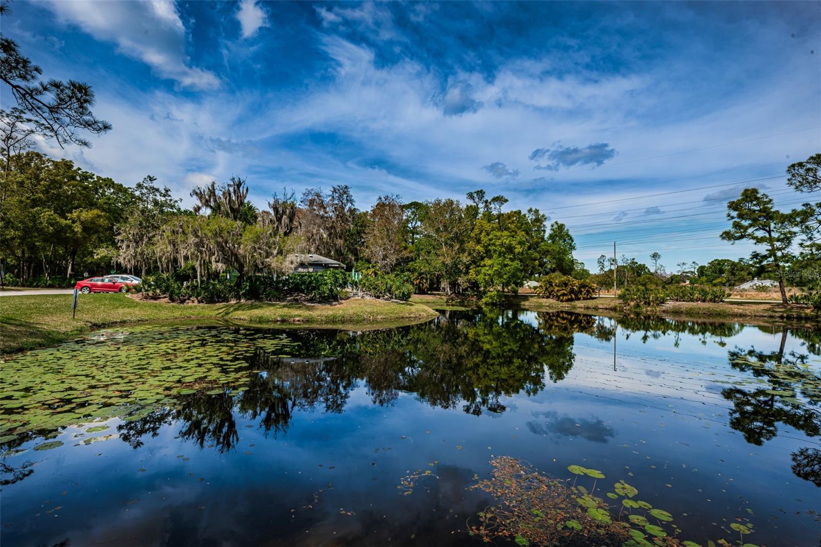 One of the Lovely Ponds