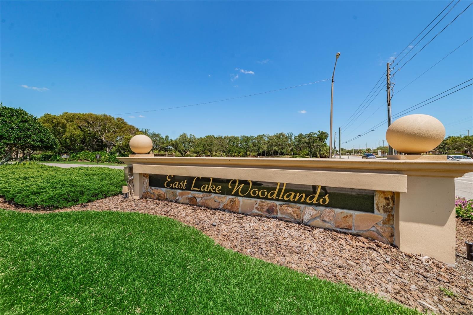 East Lake Woodlands is a High Demand Gated Community