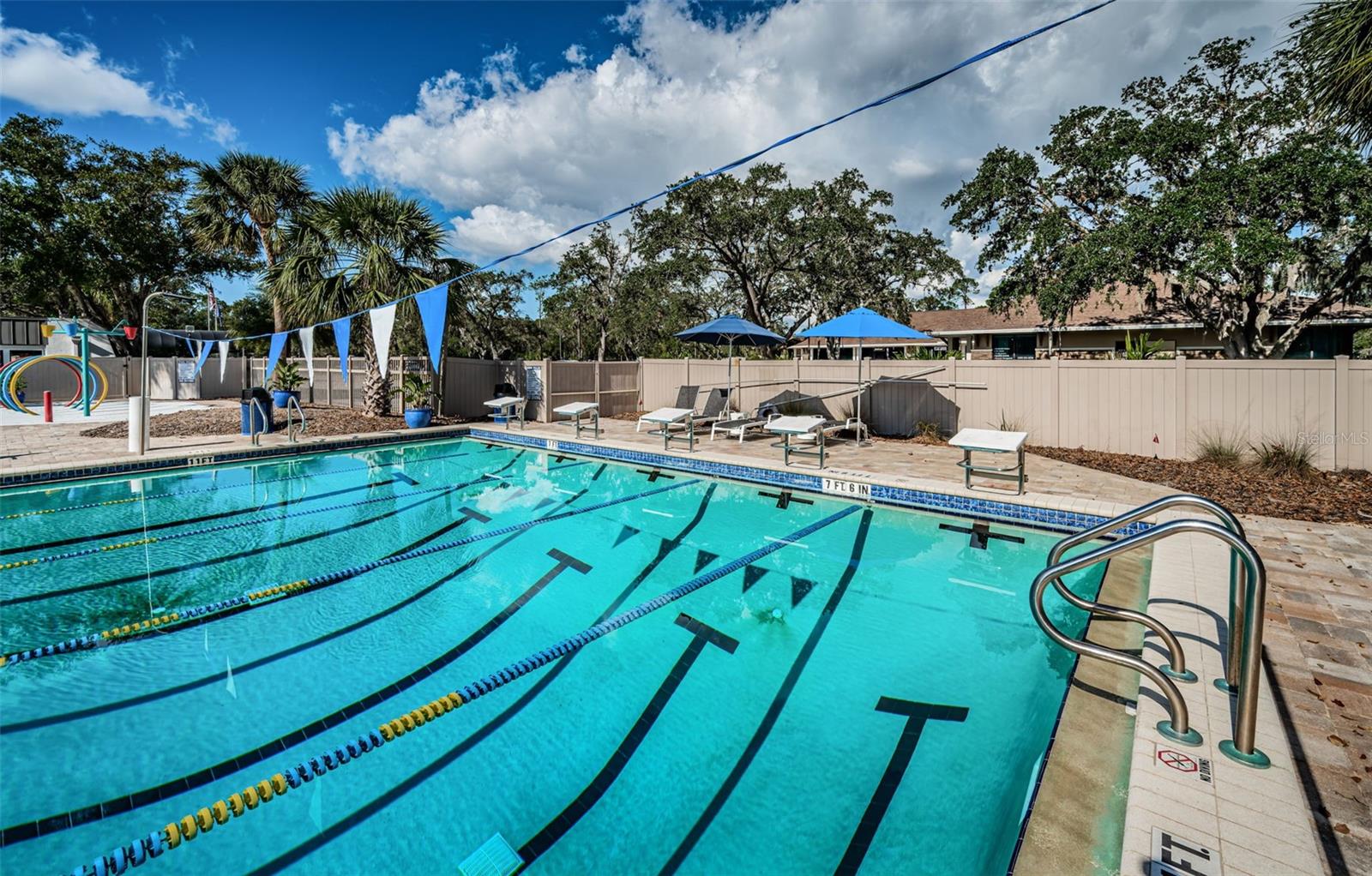 Olympic Style Pool