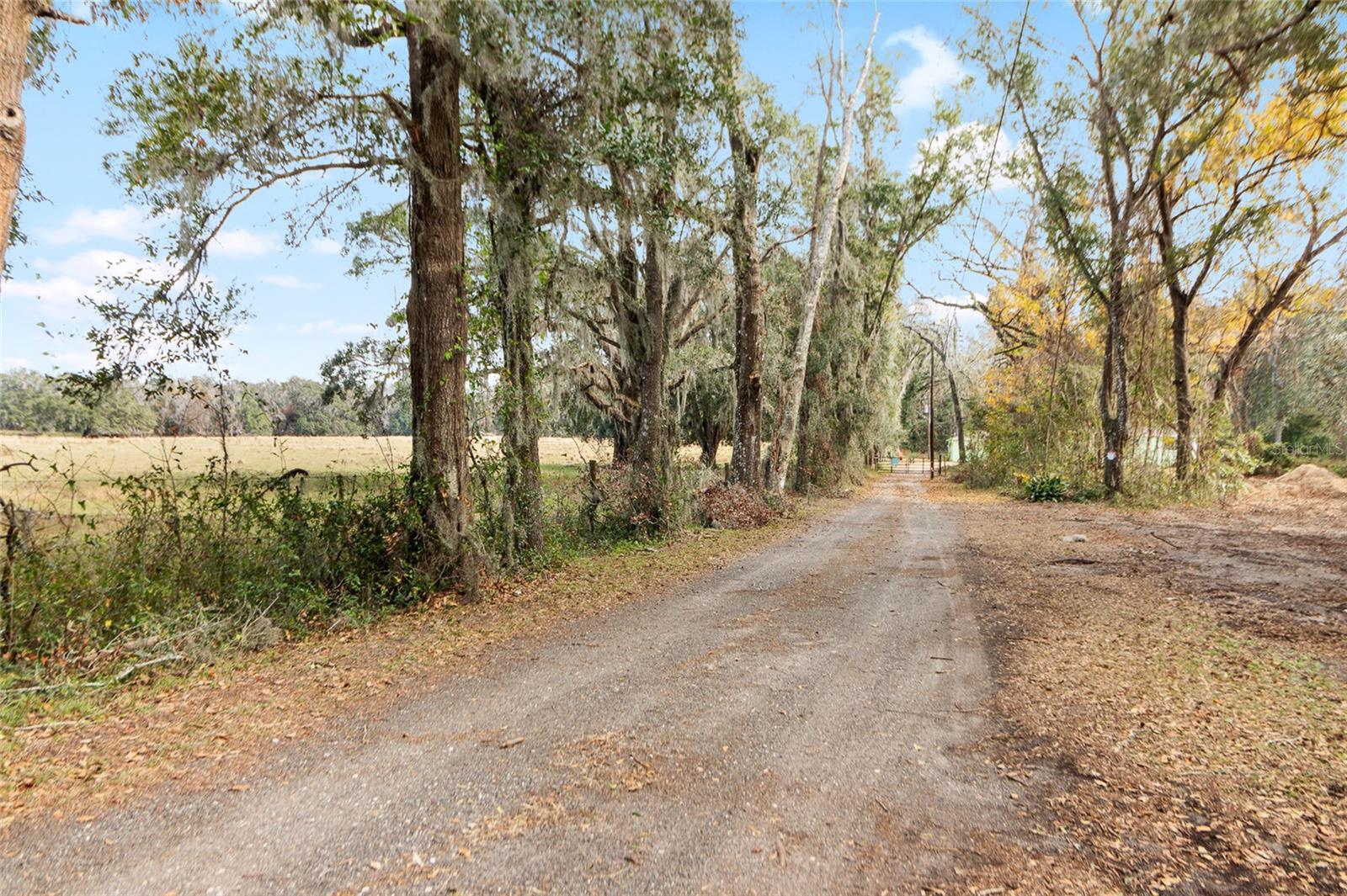 Ariel view of the serene 2.5 acre property with a 3/2 cement block one story home in an X flood Zone with a detached 2-car garage, and a storage shed, and an RV dumpstation.  Lined with trees for privacy. Surrounded by nature & one neighbor has a vast horse and cow pasture with acres of land.