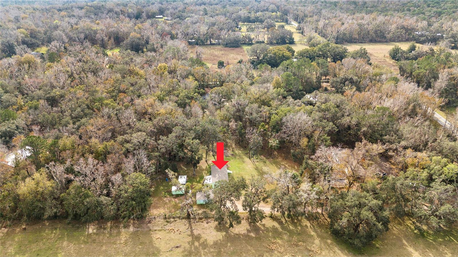 Ariel view of the serene 2.5 acre property with a 3/2 cement block one story home in an X flood Zone with a detached 2-car garage, and a storage shed, and an RV dumpstation.  Lined with trees for privacy. Surrounded by nature & one neighbor has a vast horse and cow pasture with acres of land.