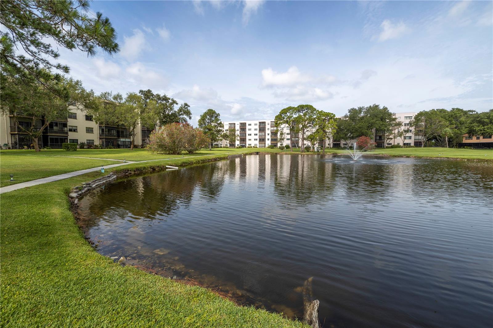 Serene pond views.