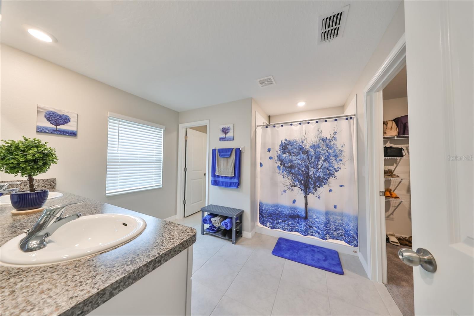 Primary bath - dual sinks, vanity with drawers, large shower, big walk-in closet.