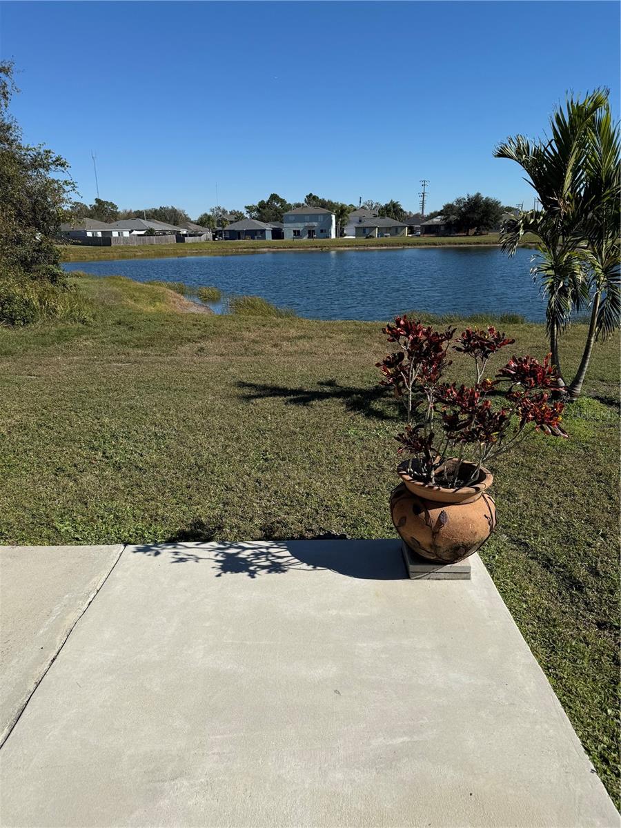 Backyard pond view