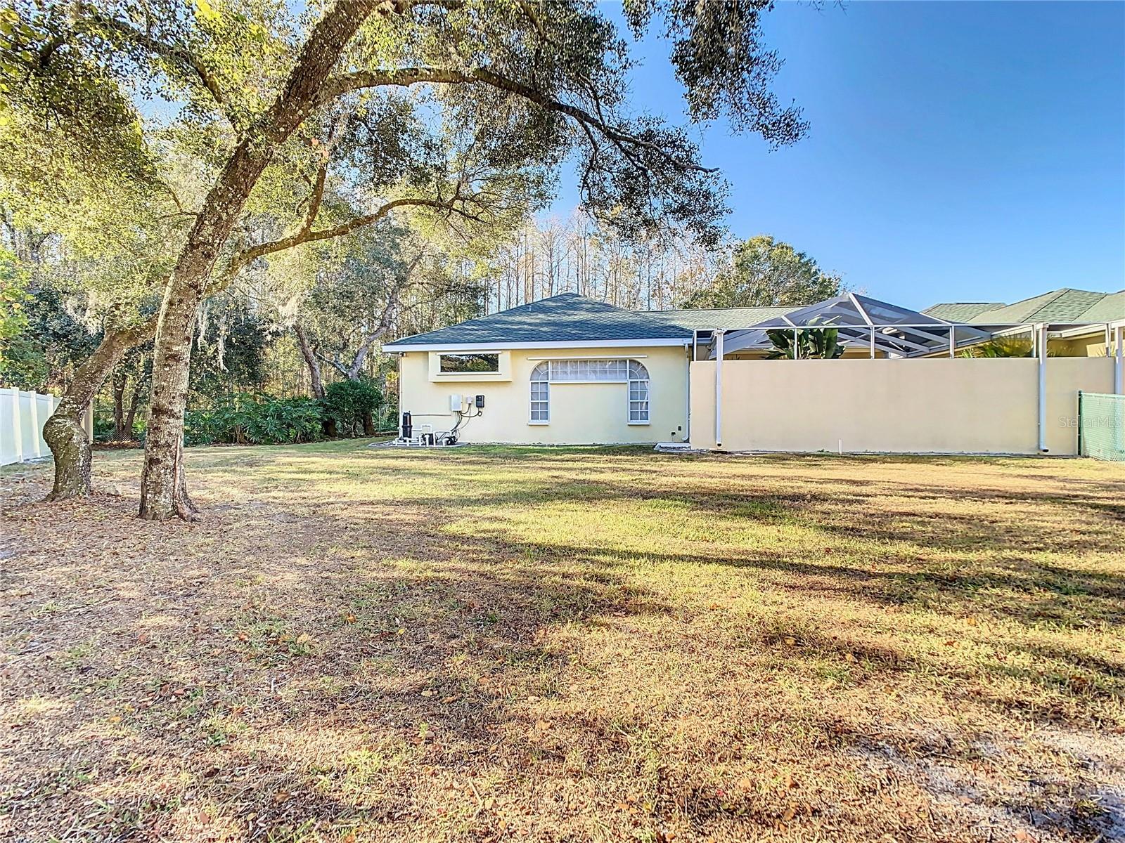 Expansive backyard