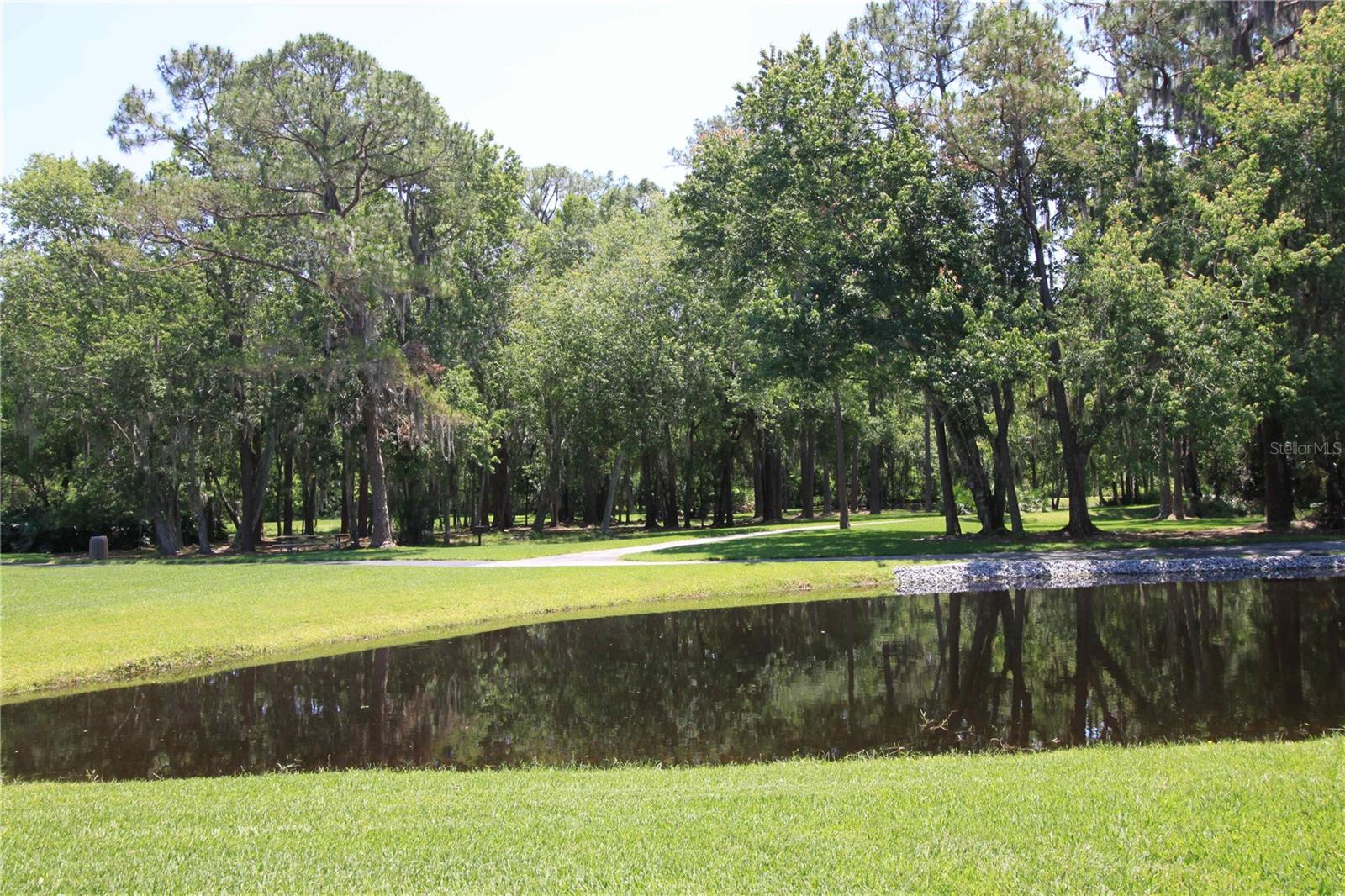 Tons of ponds in the community