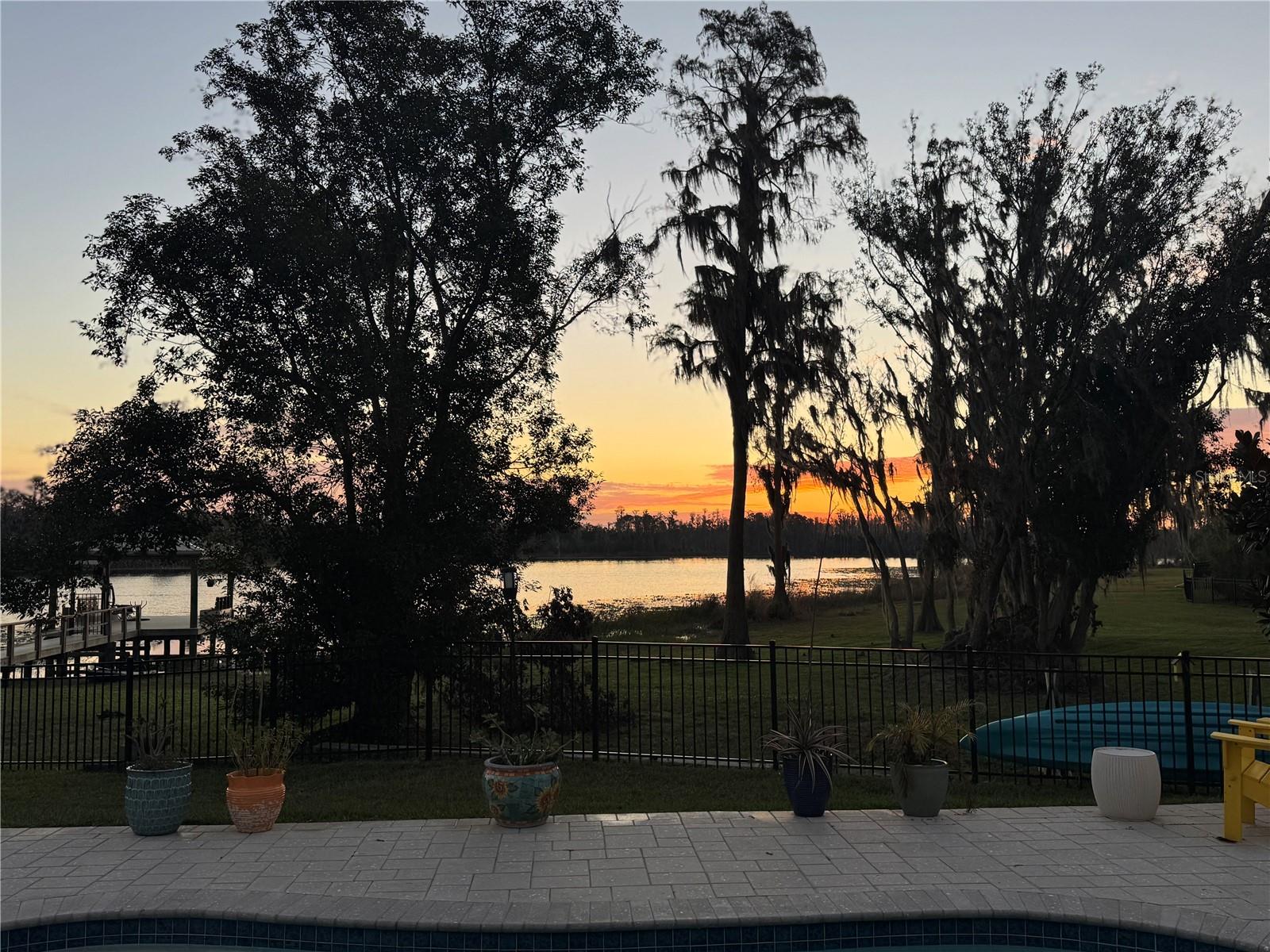 Lake and wetlands from backyard