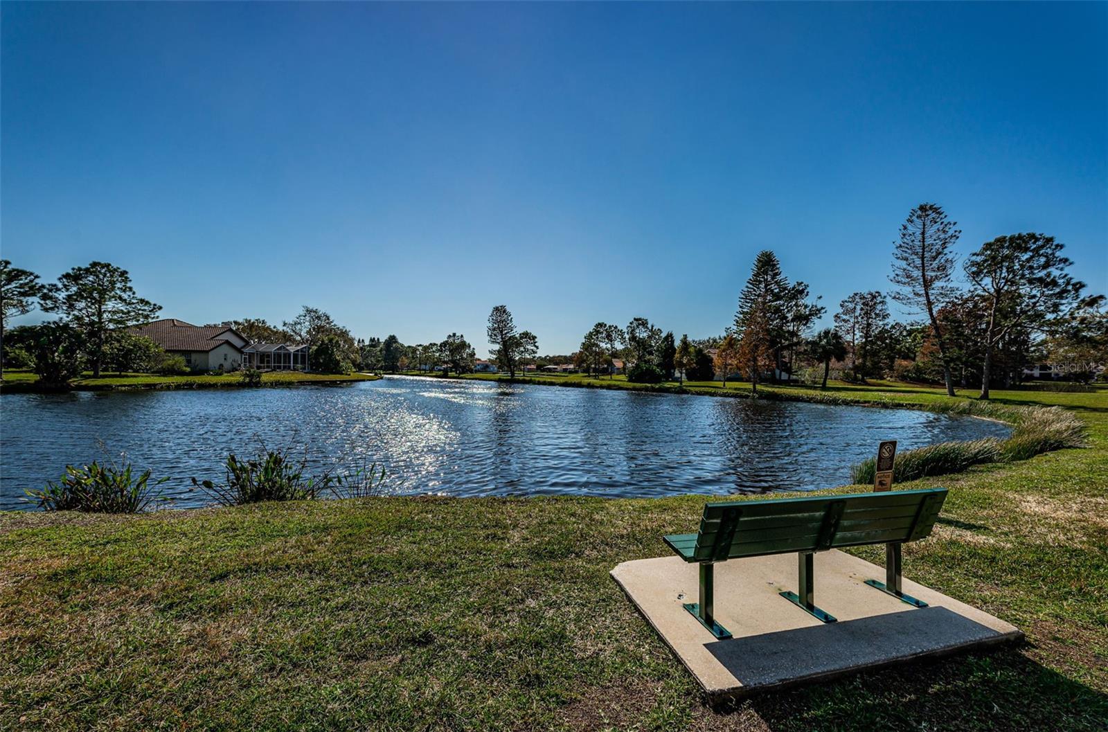 Common area Lake