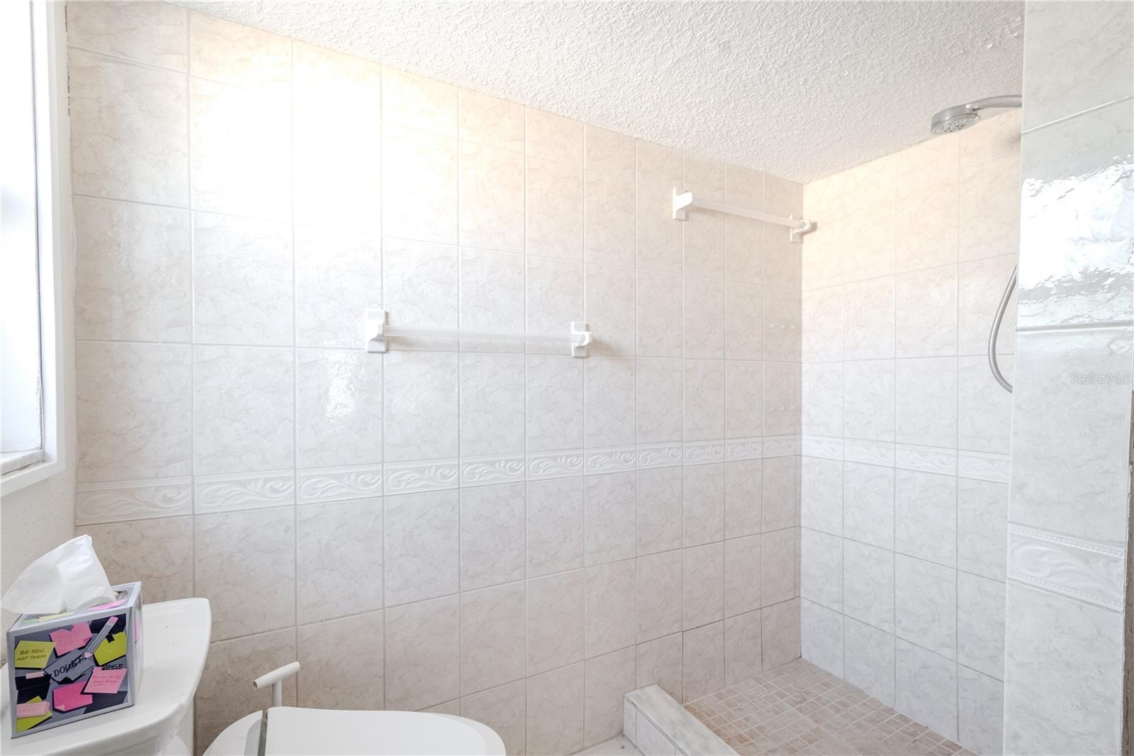 Primary ensuite shower.