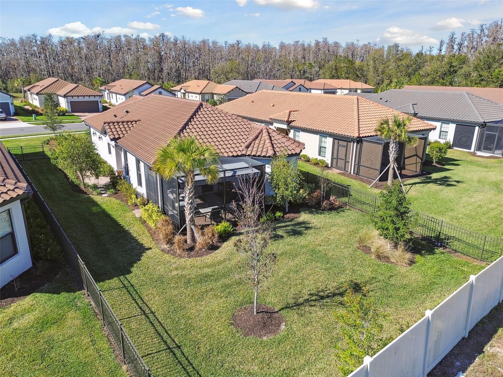 oversized fenced yard