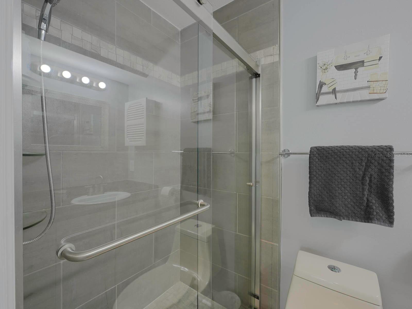 Modern Bathroom w/Tile Shower