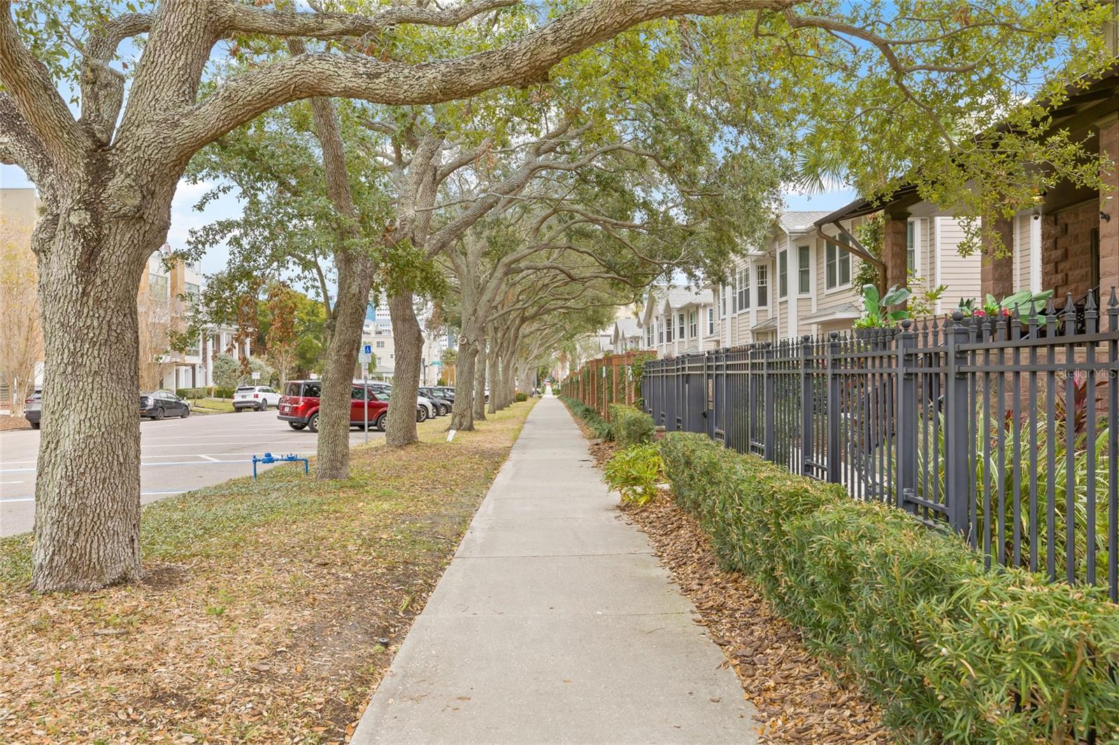 Tree-lined wide sidewalks in this area.