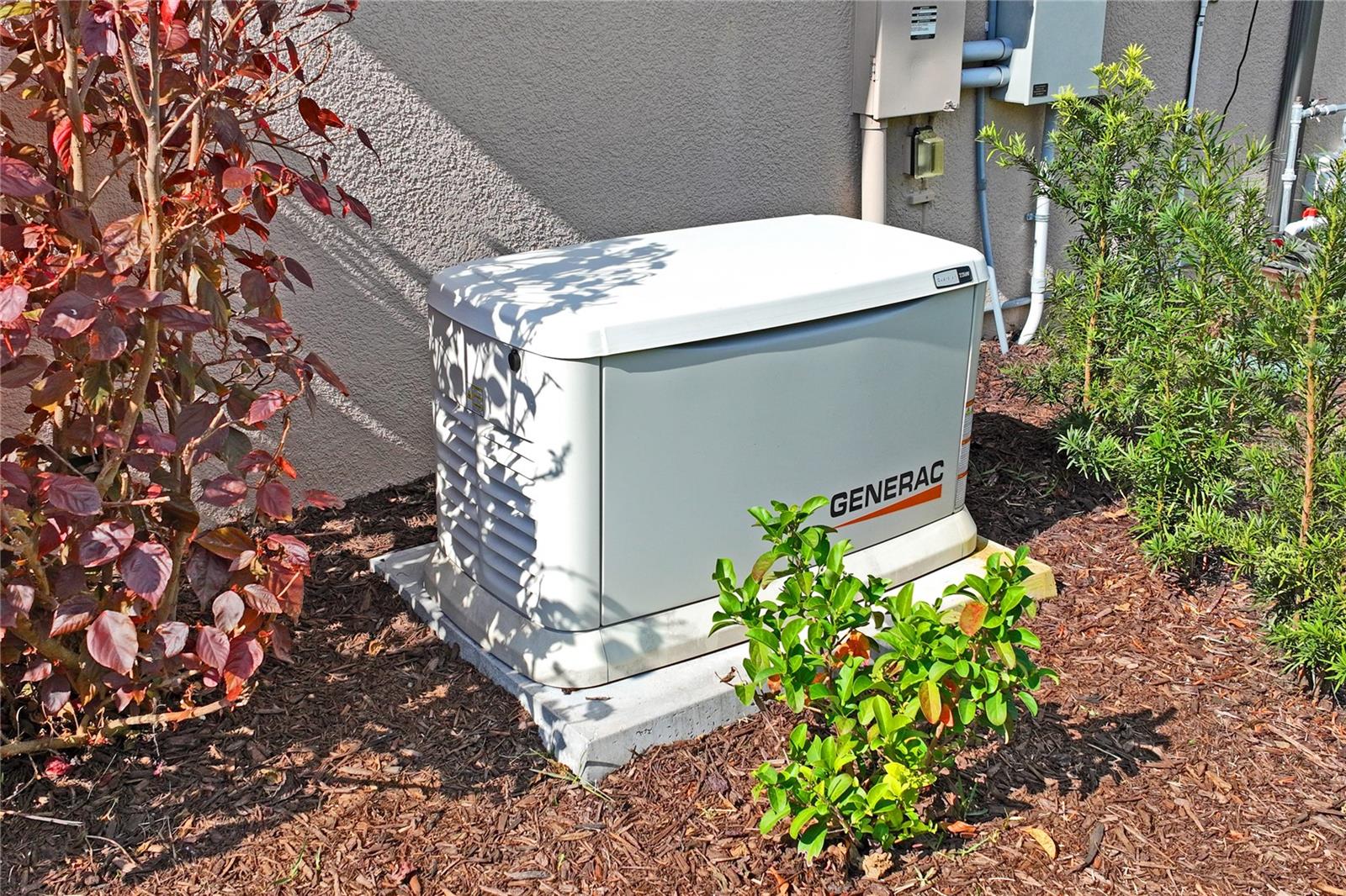 Whole Home Generac Generator