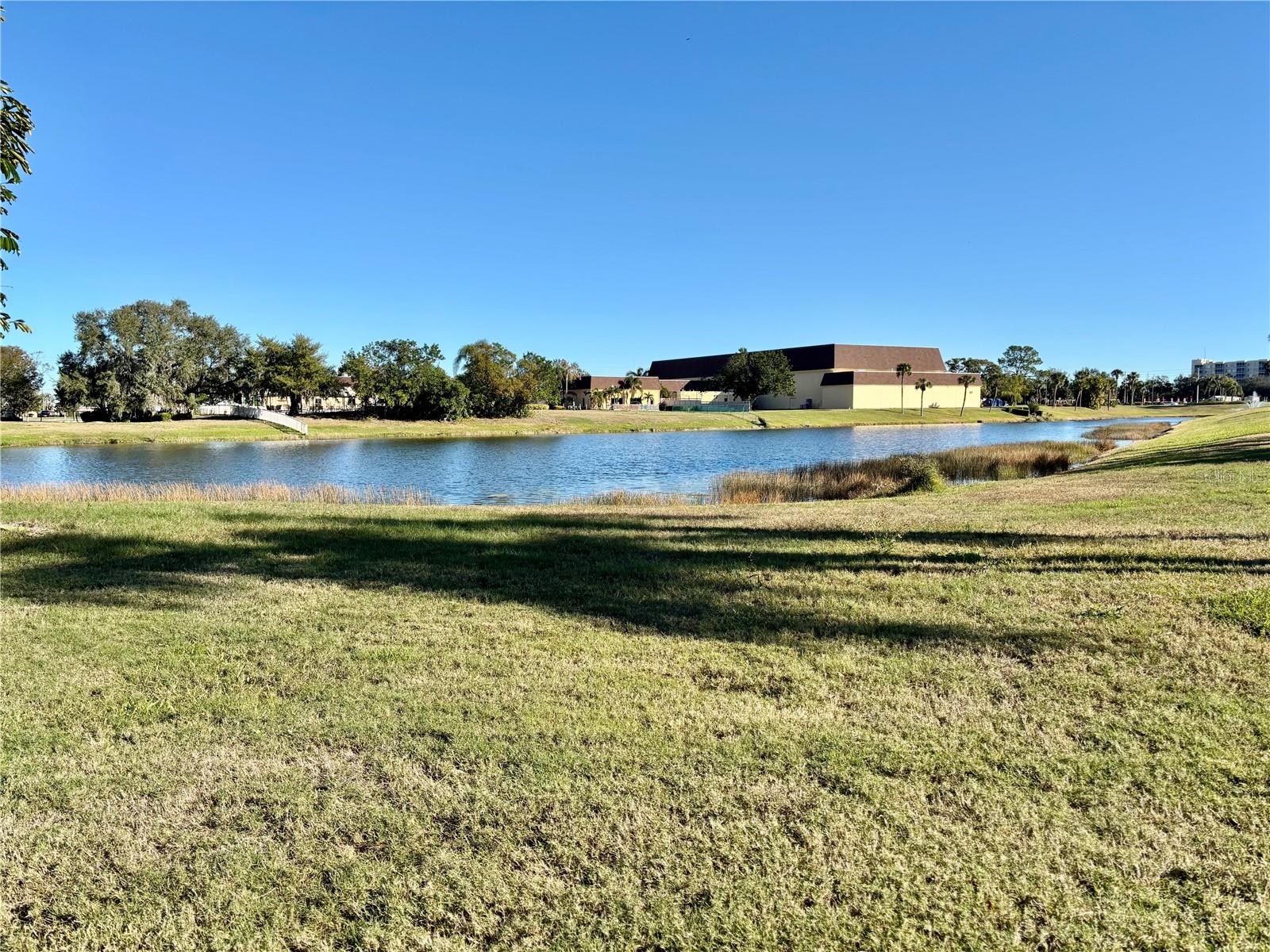 Backyard with water view