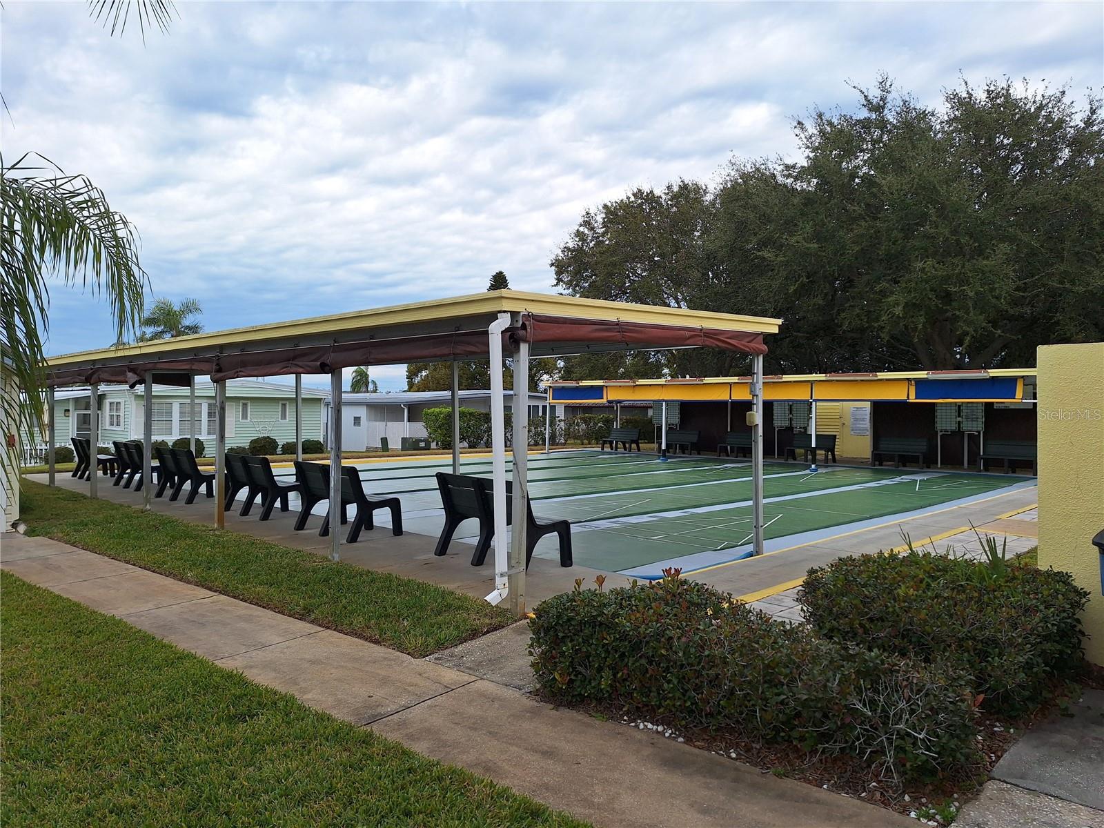 Shuffleboard Court