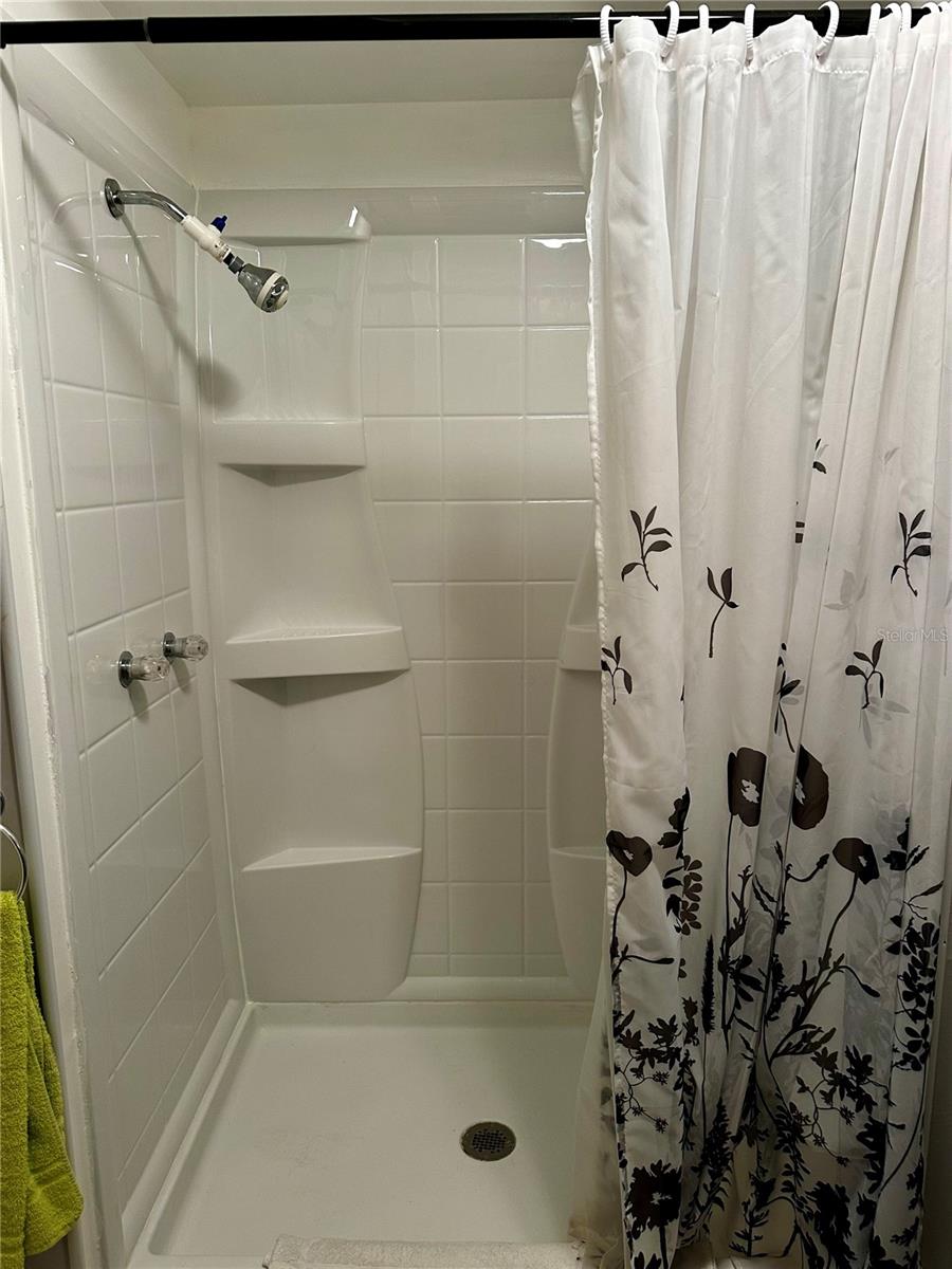 Master bath walk in shower